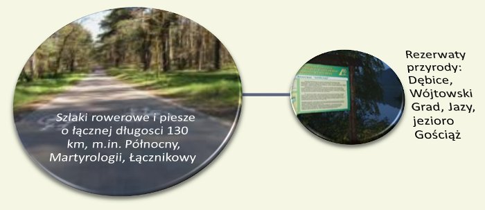 Szlaki rowerowe i piesze